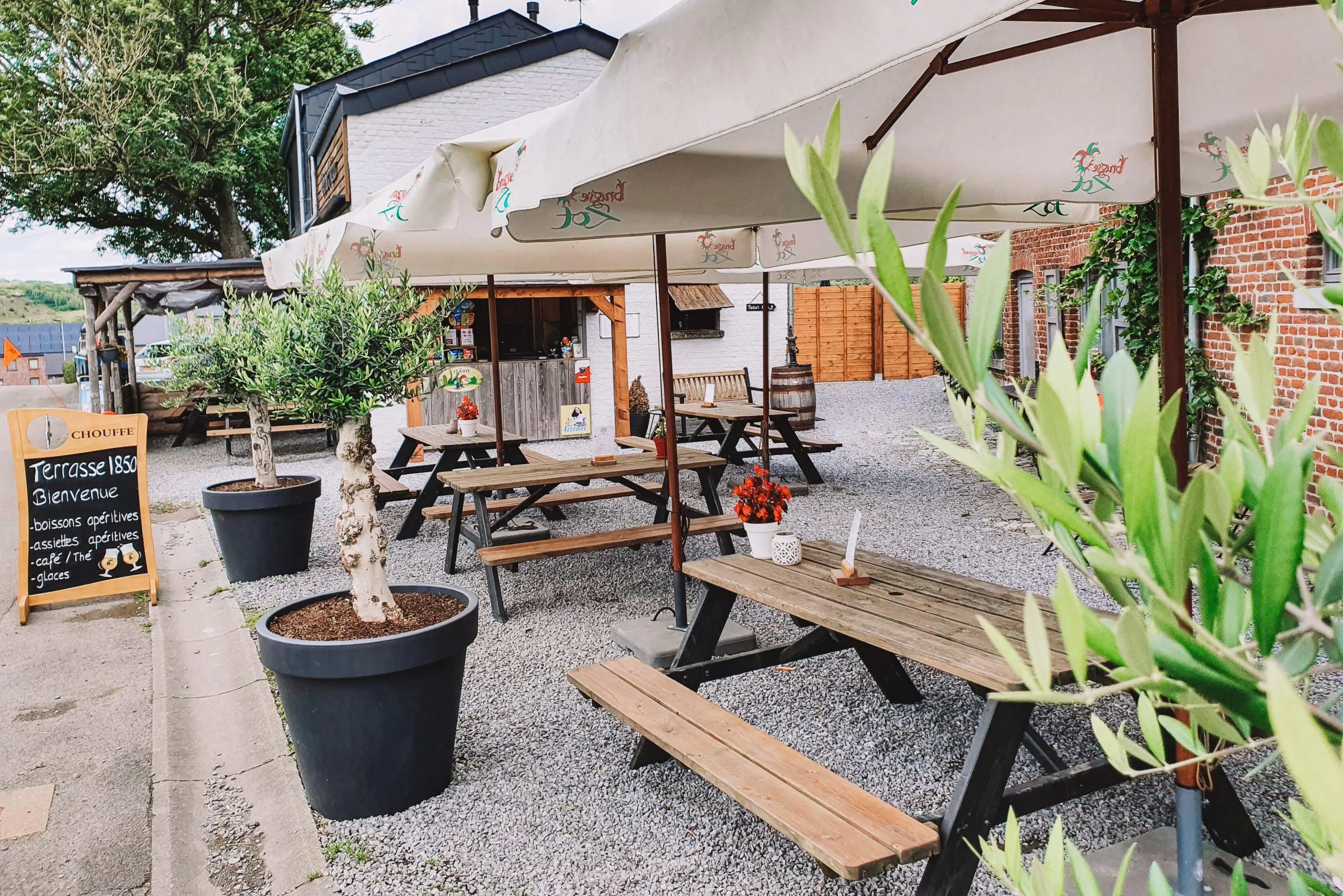 Terrasse 1850 - Gezellig terras